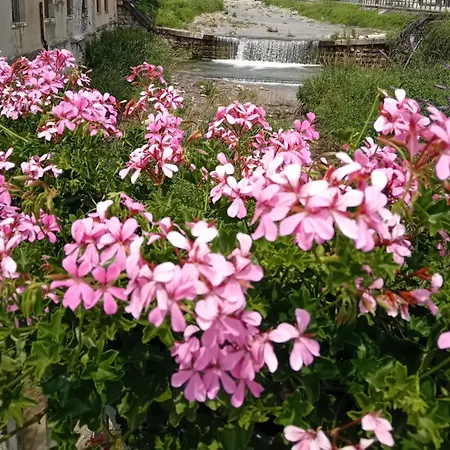 Il Bucaneve Ferienhaus